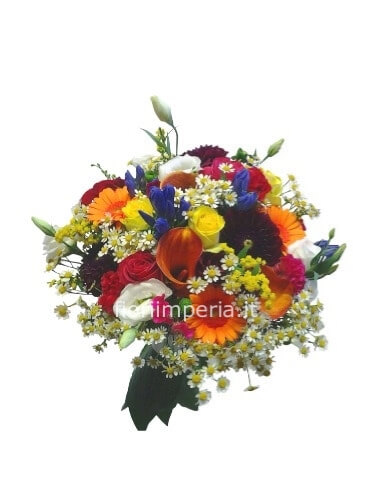 Bouquet di fiori con Calle » Fiori a Imperia, invio e consegna fiori e  piante a Imperia.