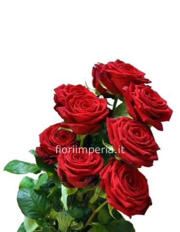Rose rosse a stelo (minimo 3)