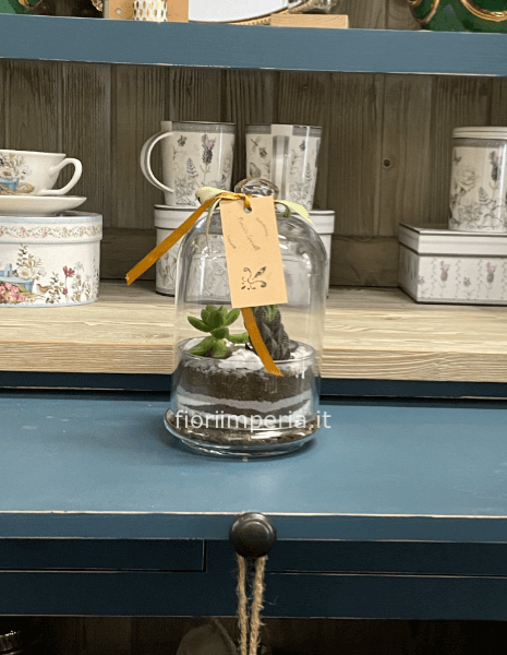 PICCOLO TERRARIUM