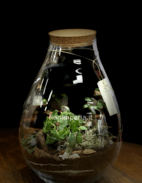 Terrarium